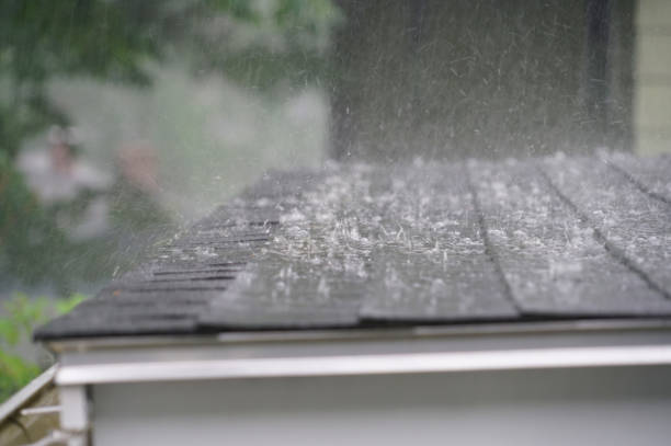Best Solar Panel Roofing Installation  in Concord, MI